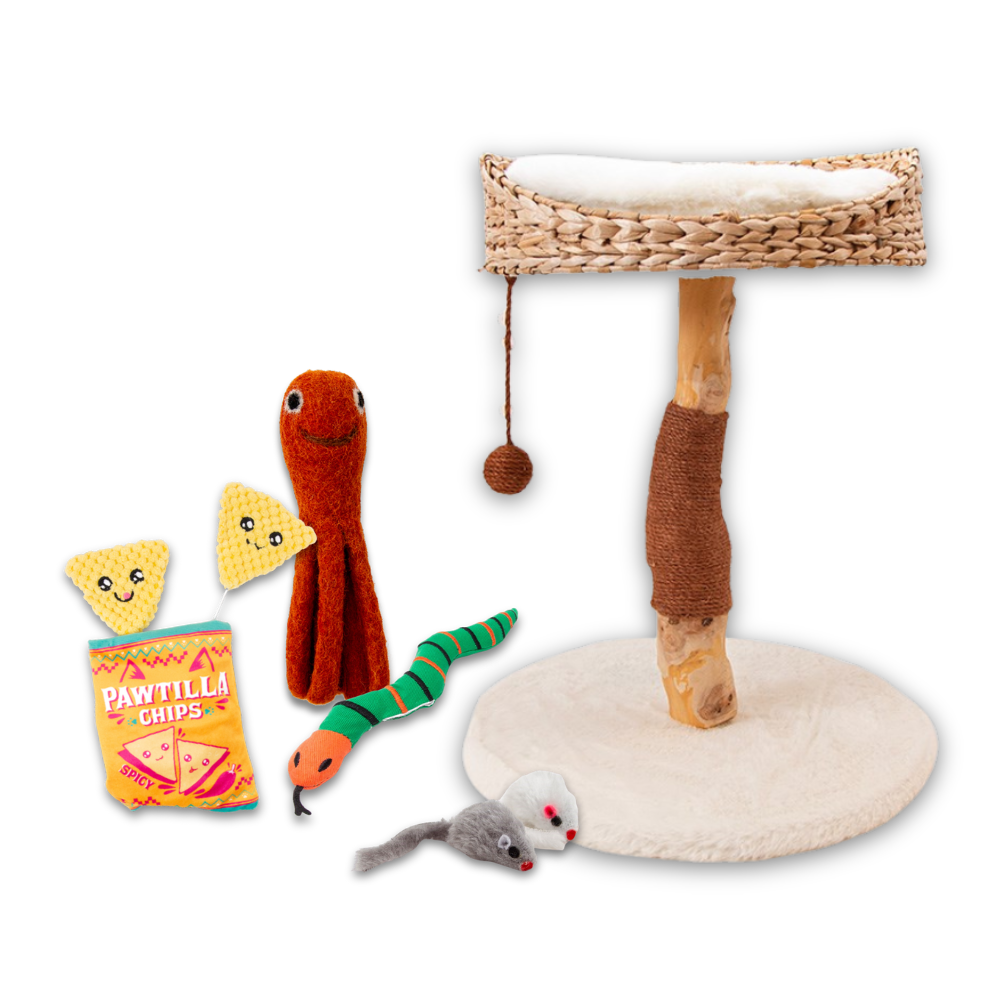 Cat Toys & Scratchers